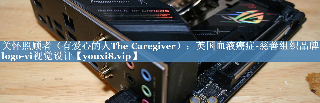 关怀照顾者（有爱心的人The Caregiver）：英国血液癌症-慈善组织品牌logo-vi视觉设计